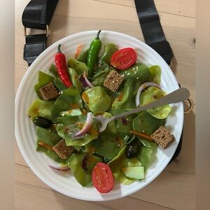 🥗Faux Salad Crossbody/Fannypack Purse~One Of A Kind~Handmade*Eccentric NWOT